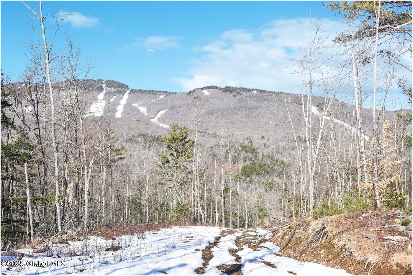 L48.4 Durkin Road North Creek NY 12853