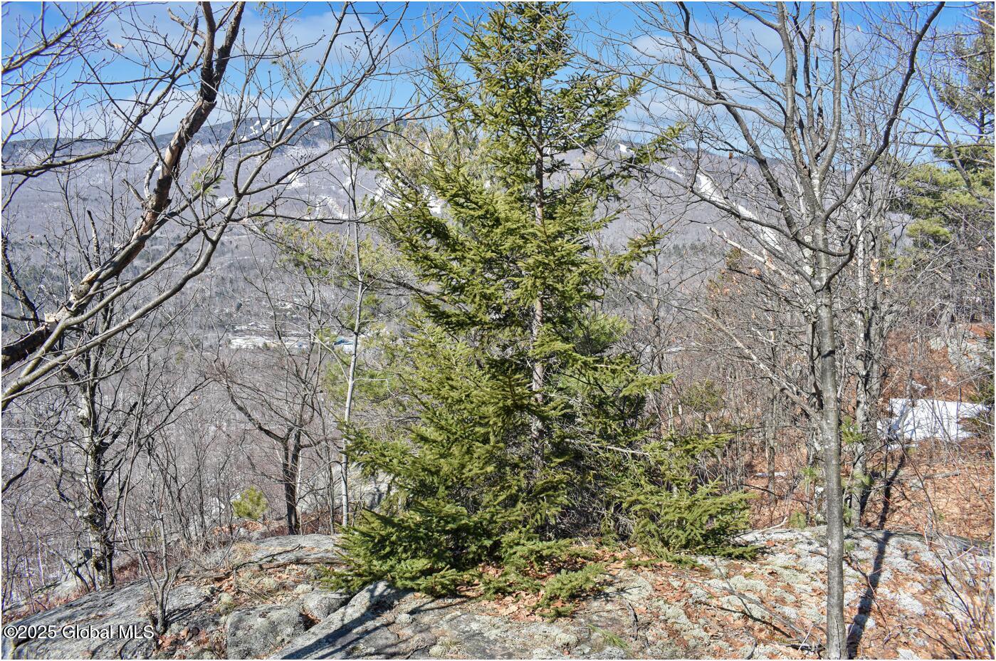 L48.4 Durkin Road North Creek NY 12853