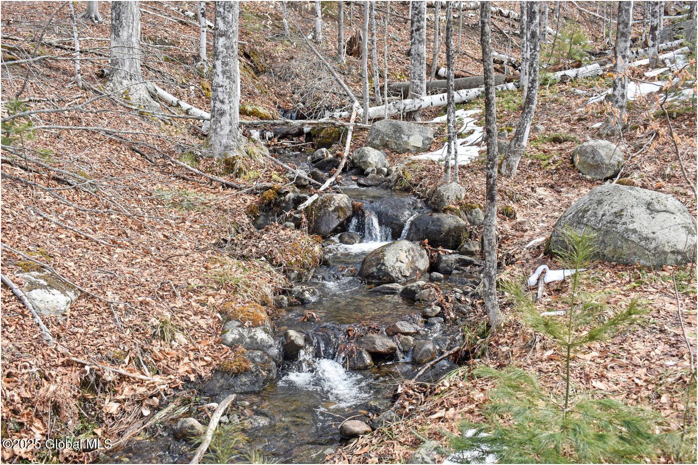 L48.4 Durkin Road North Creek NY 12853