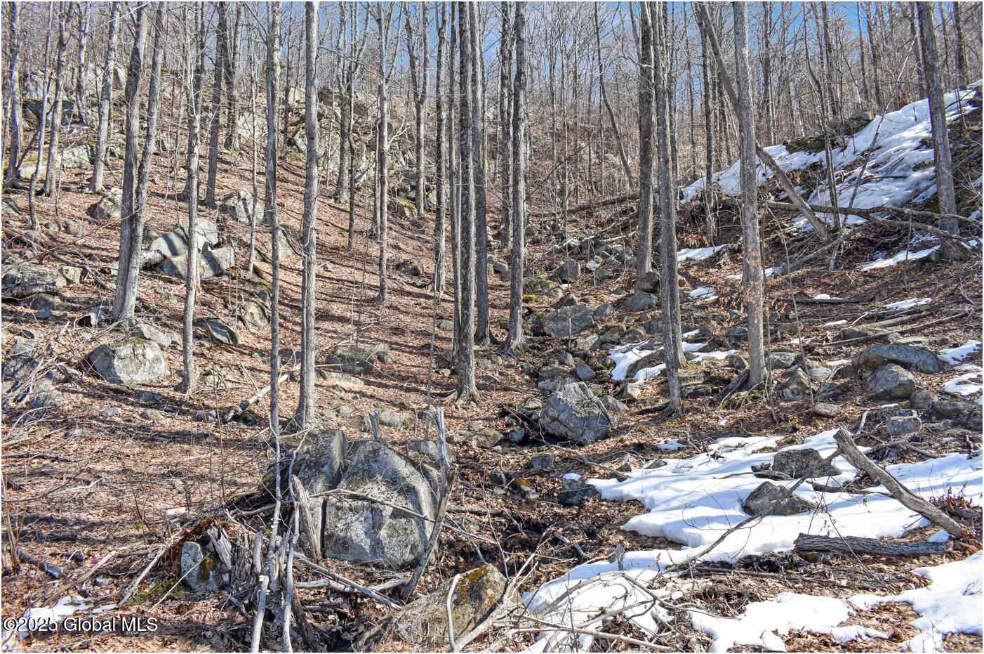 L48.4 Durkin Road North Creek NY 12853
