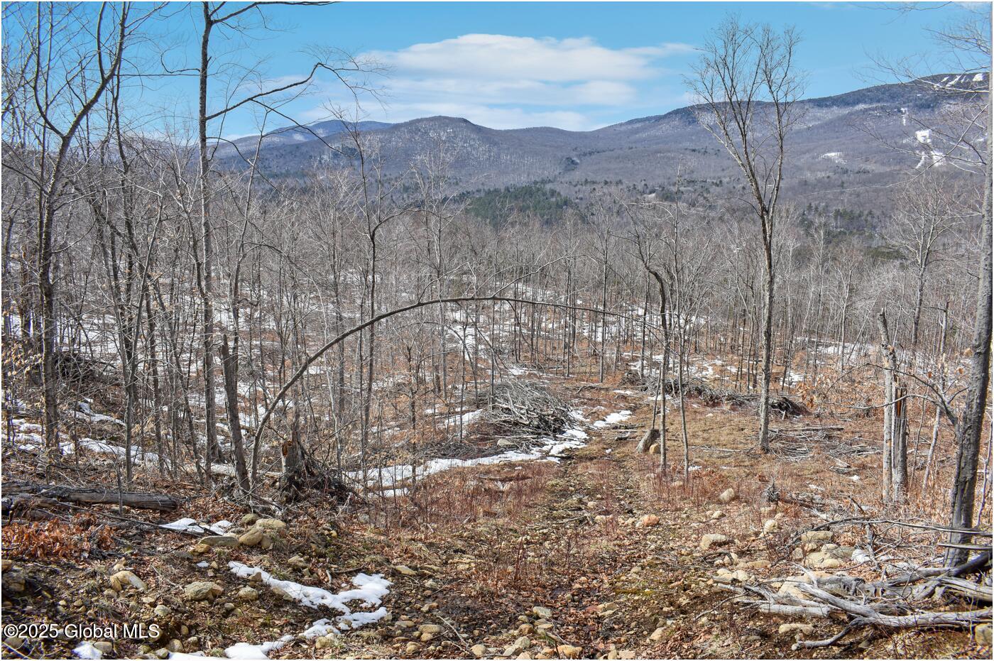 L48.4 Durkin Road North Creek NY 12853