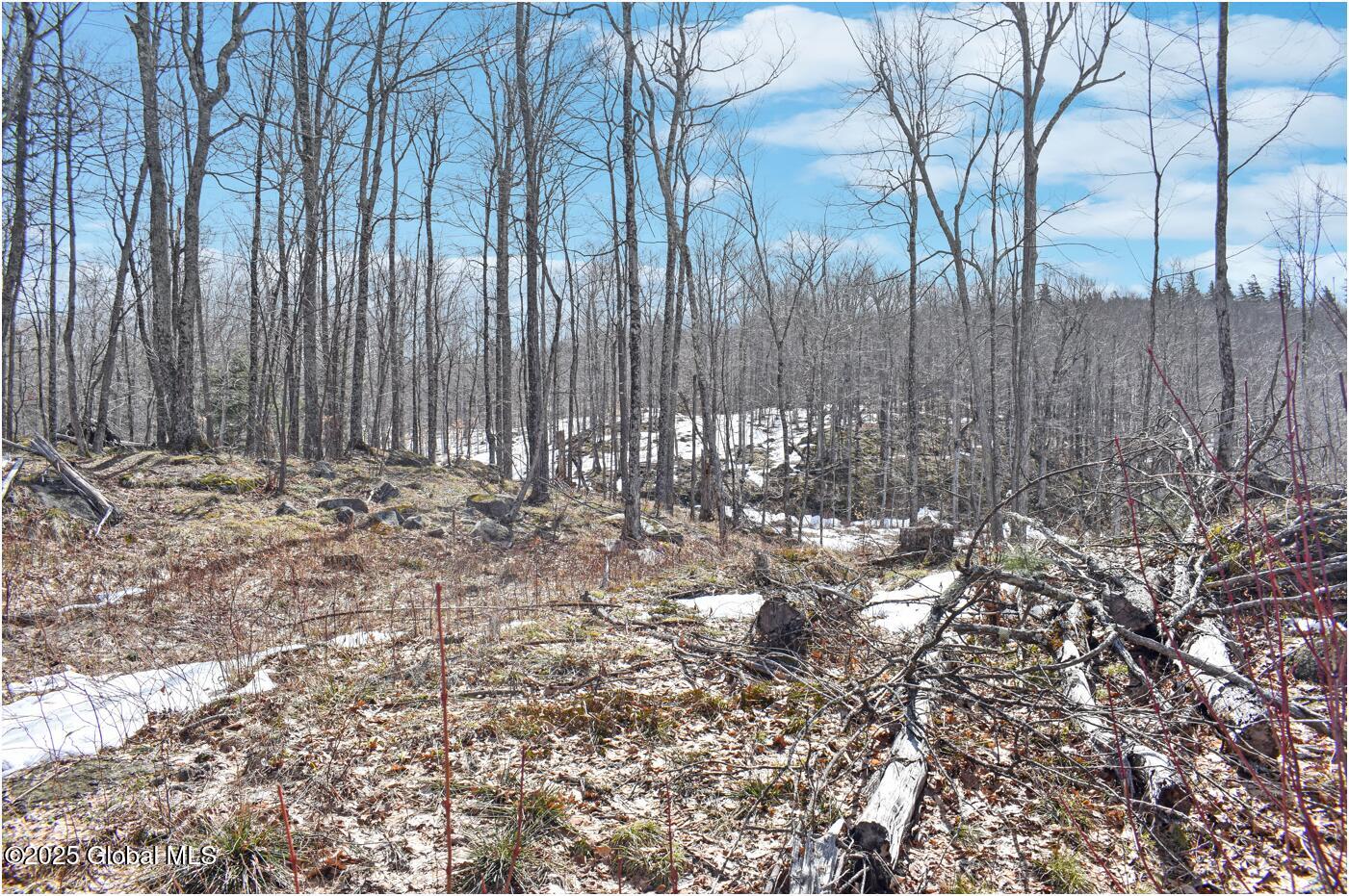 L48.4 Durkin Road North Creek NY 12853