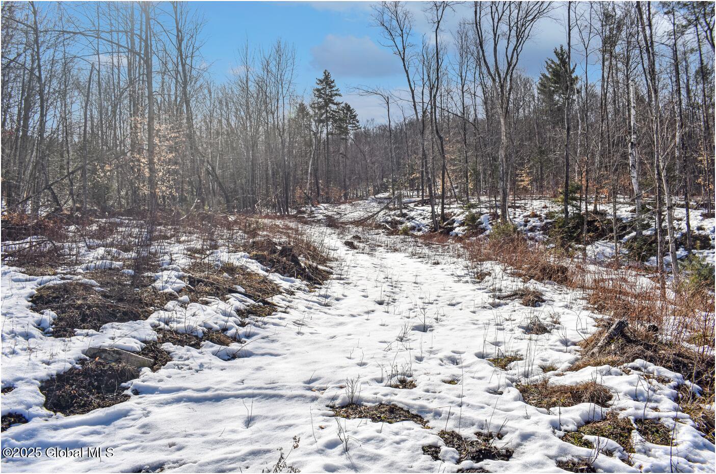 L48.4 Durkin Road North Creek NY 12853