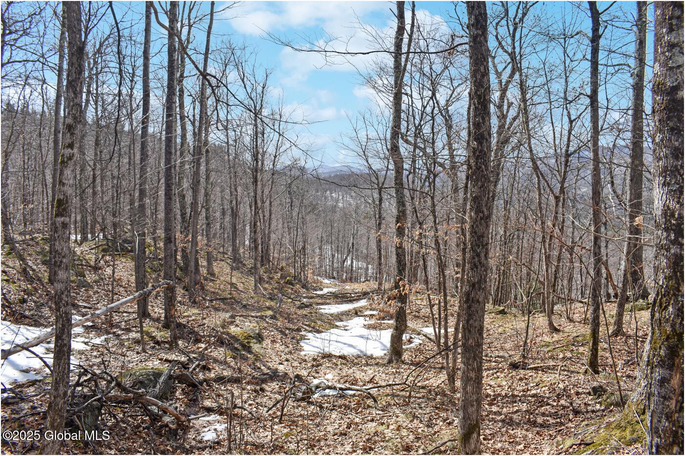L48.4 Durkin Road North Creek NY 12853