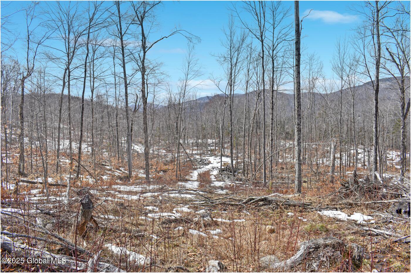 L48.4 Durkin Road North Creek NY 12853