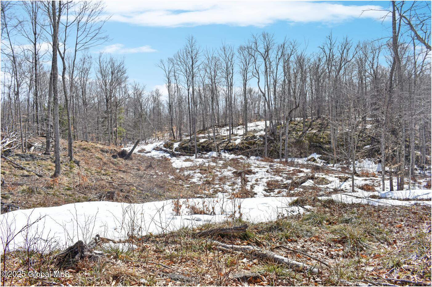 L48.4 Durkin Road North Creek NY 12853