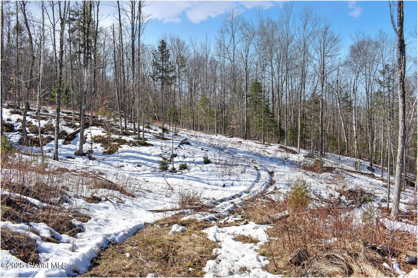 L48.4 Durkin Road North Creek NY 12853
