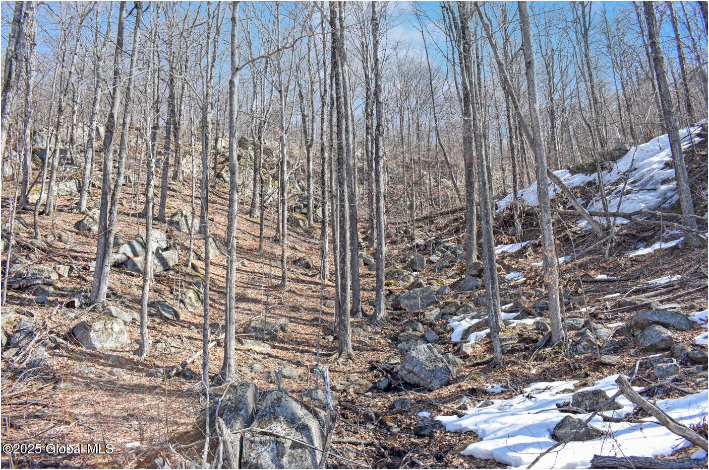 L48.4 Durkin Road North Creek NY 12853