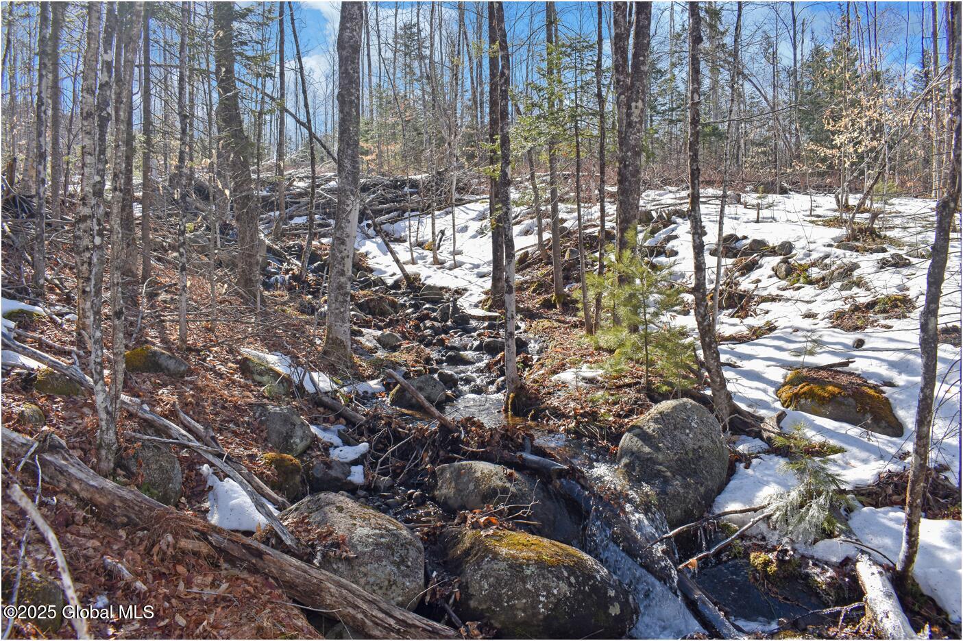 L48.4 Durkin Road North Creek NY 12853
