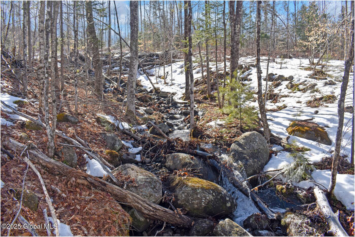 L48.4 Durkin Road North Creek NY 12853