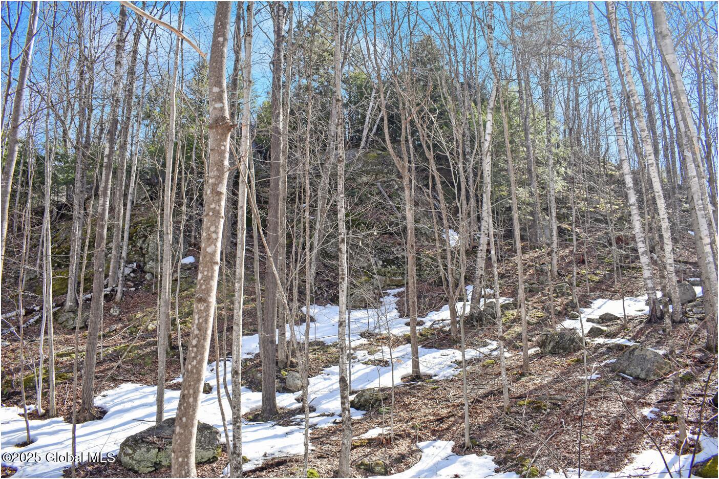 L48.4 Durkin Road North Creek NY 12853