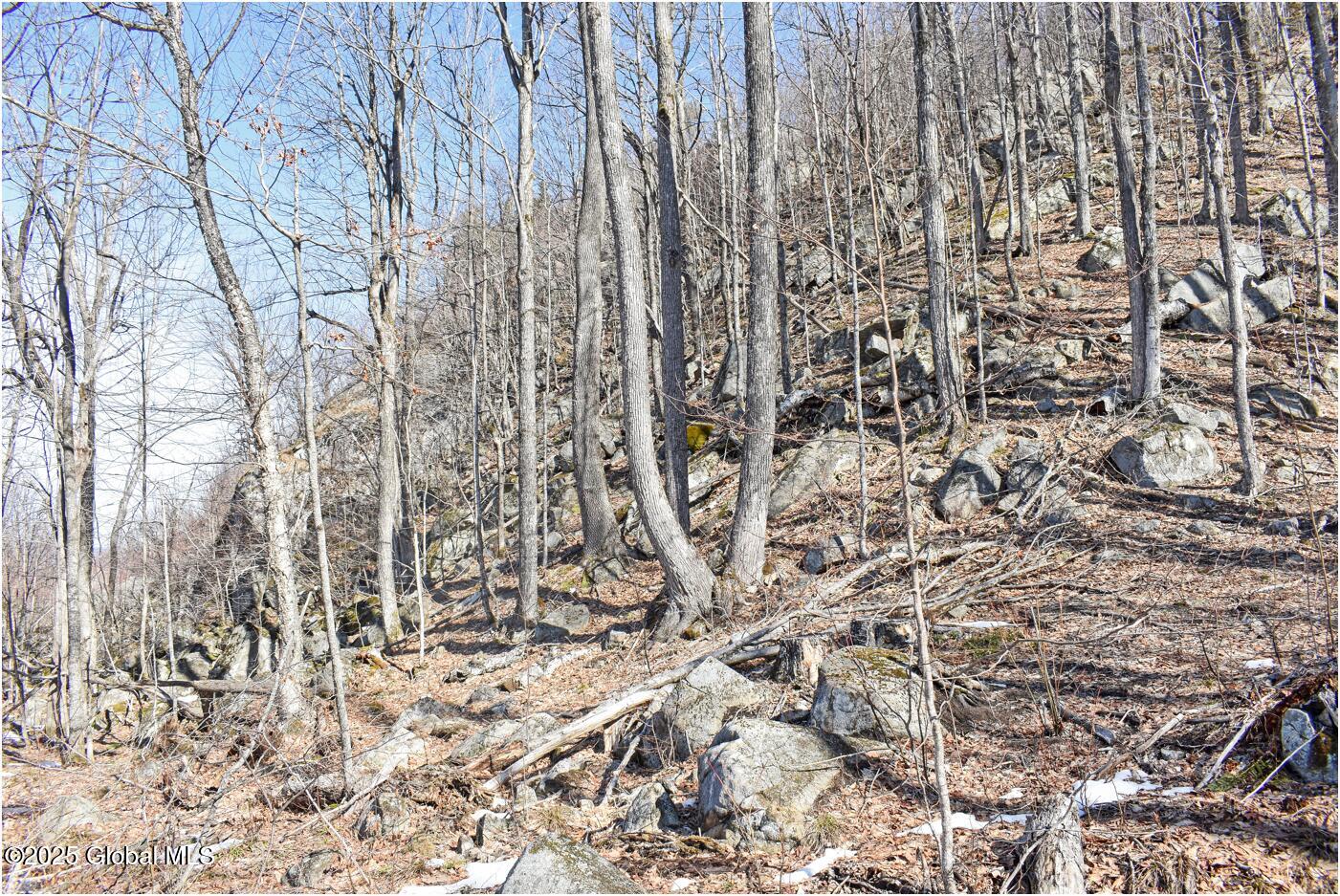 L48.4 Durkin Road North Creek NY 12853
