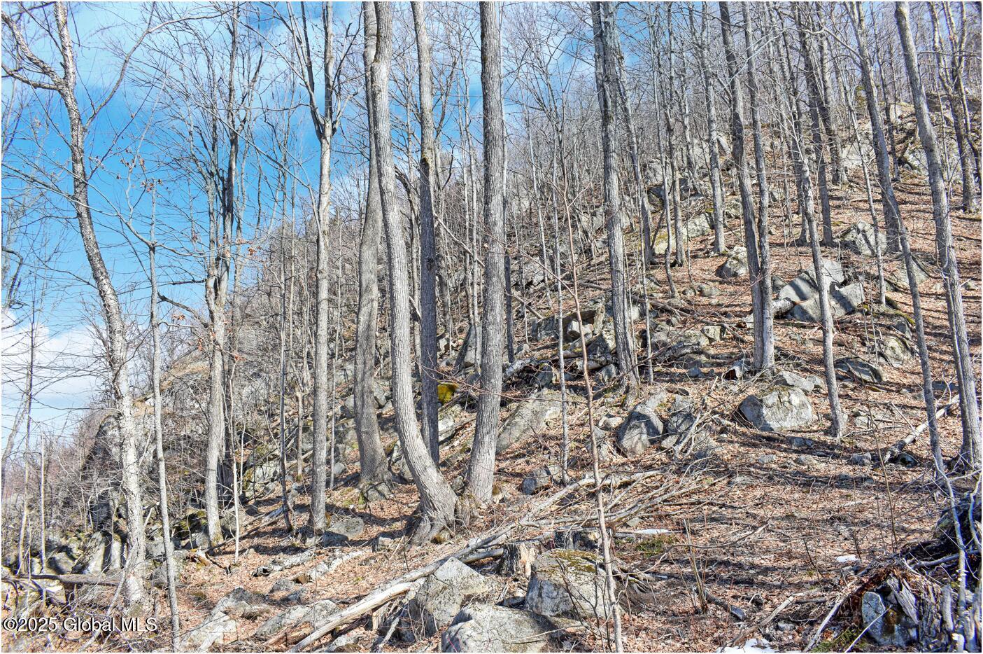 L48.4 Durkin Road North Creek NY 12853