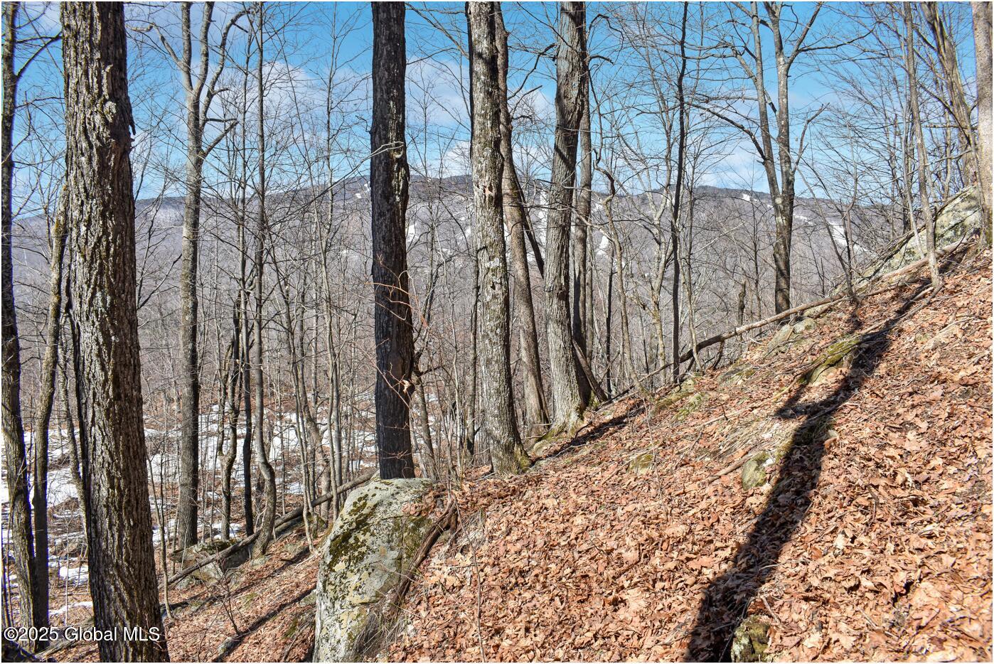 L48.4 Durkin Road North Creek NY 12853