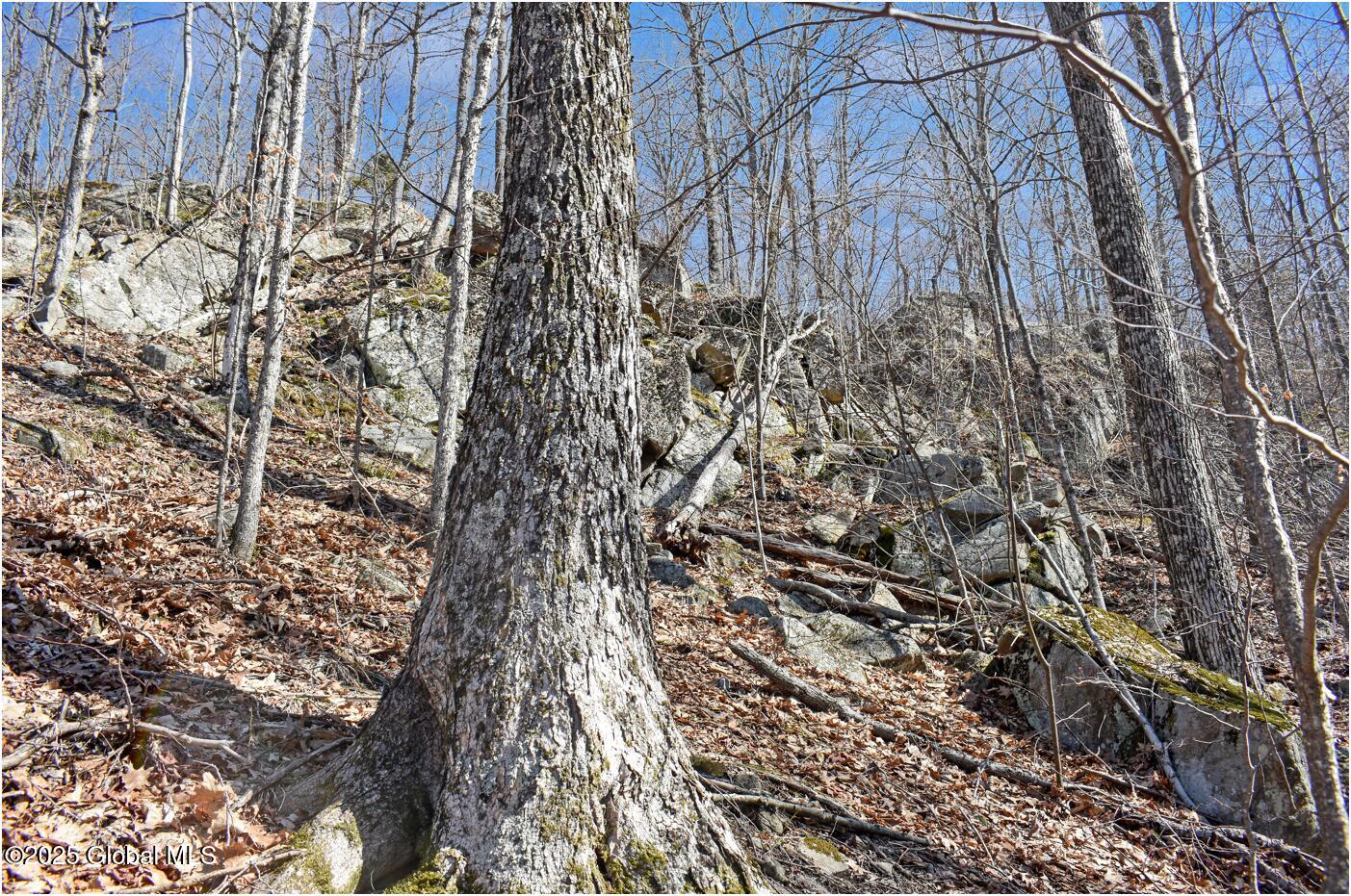 L48.4 Durkin Road North Creek NY 12853
