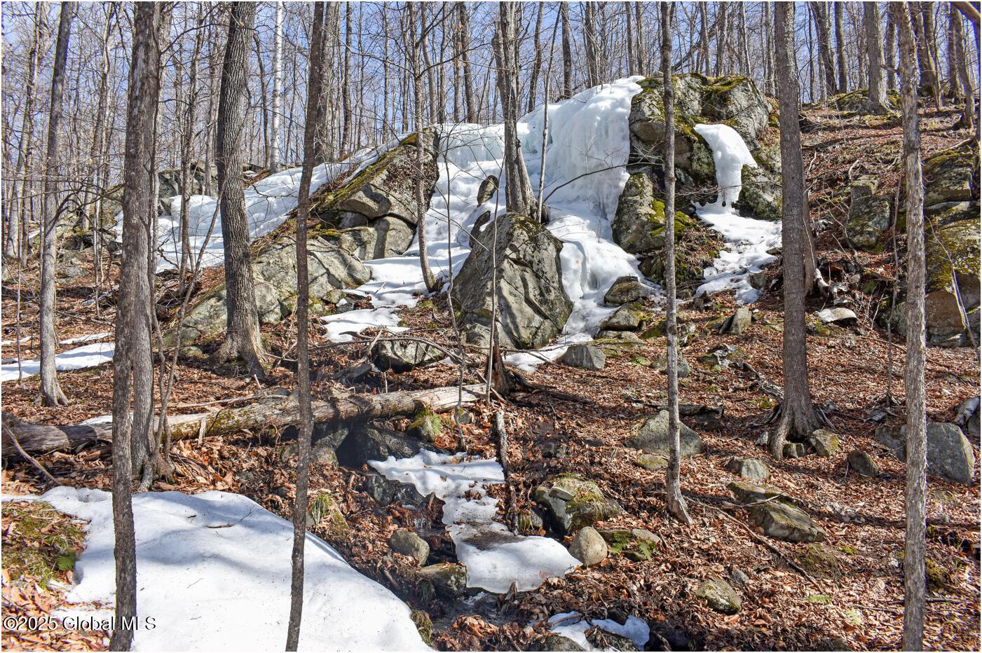 L48.4 Durkin Road North Creek NY 12853
