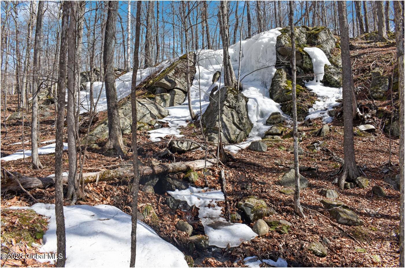 L48.4 Durkin Road North Creek NY 12853