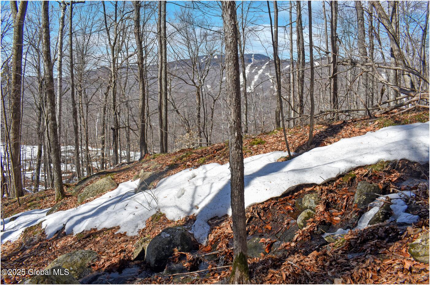 L48.4 Durkin Road North Creek NY 12853
