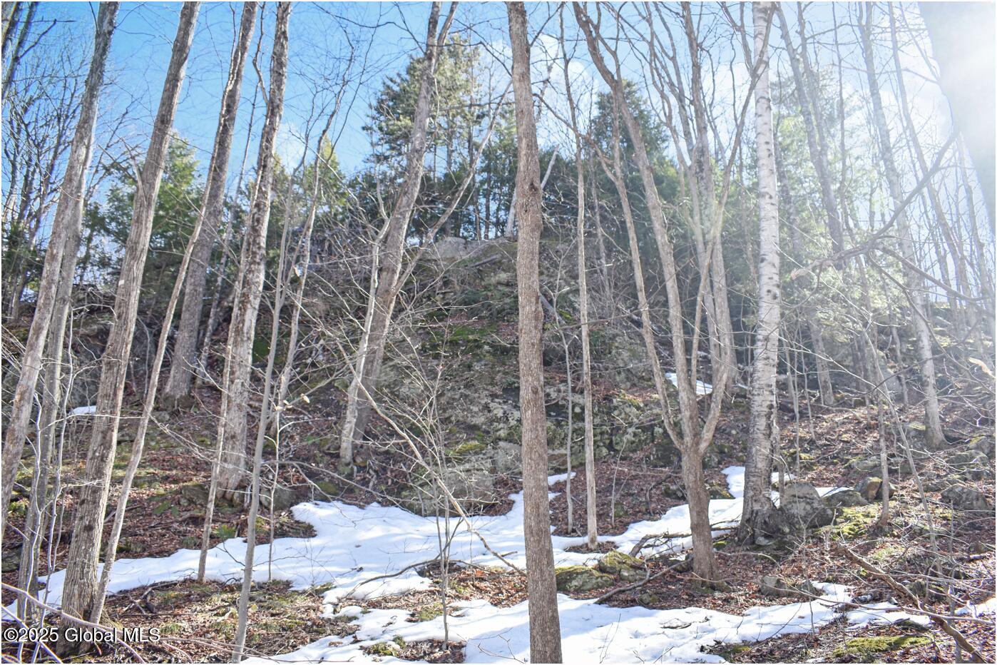 L48.4 Durkin Road North Creek NY 12853