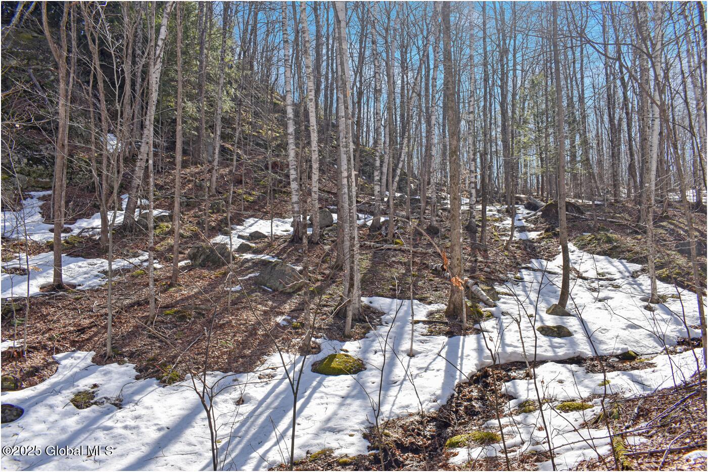 L48.4 Durkin Road North Creek NY 12853