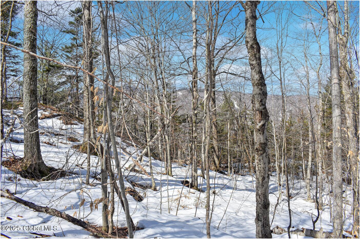 L48.4 Durkin Road North Creek NY 12853