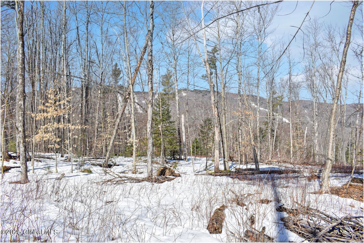 L48.4 Durkin Road North Creek NY 12853