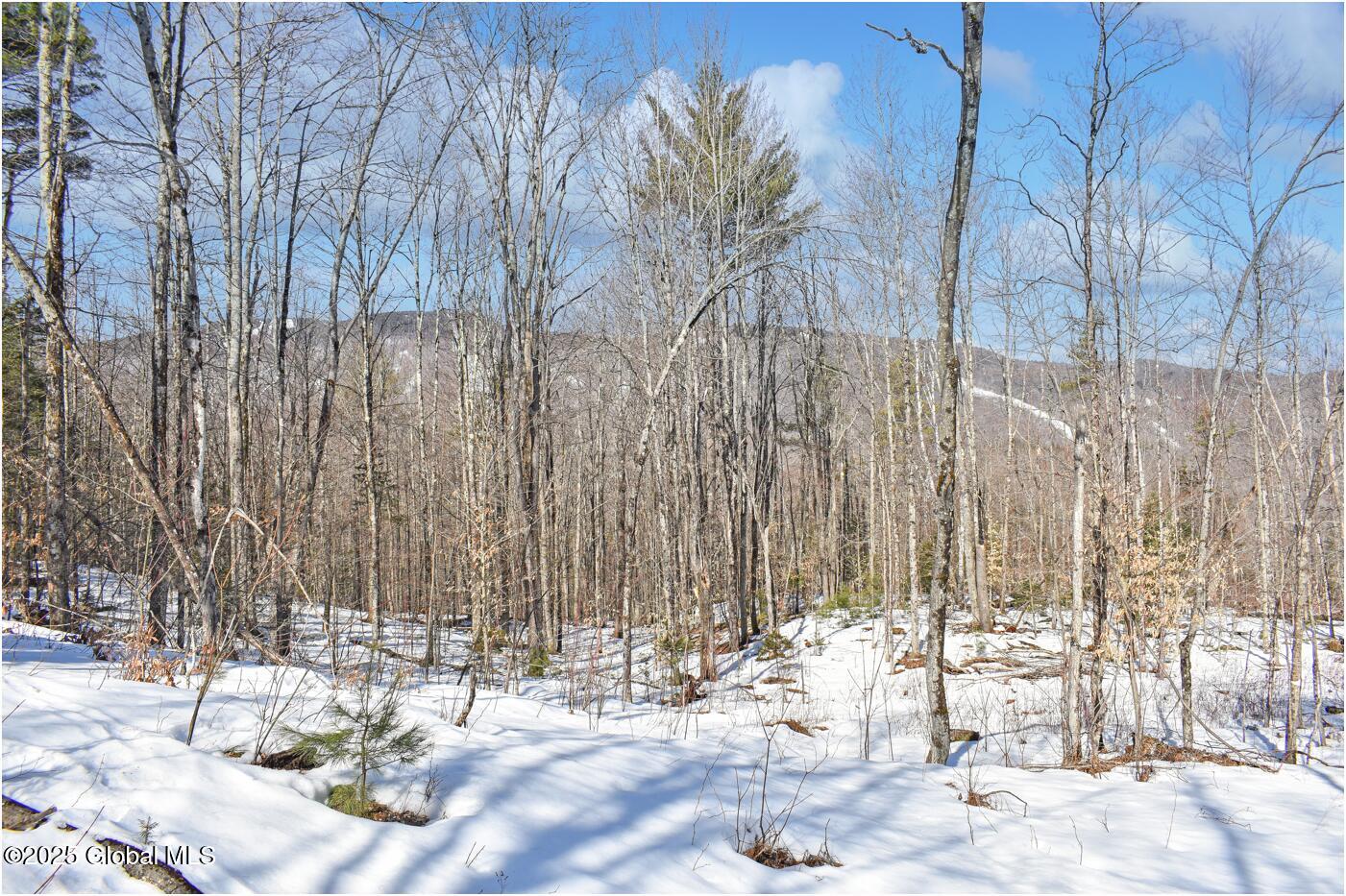 L48.4 Durkin Road North Creek NY 12853