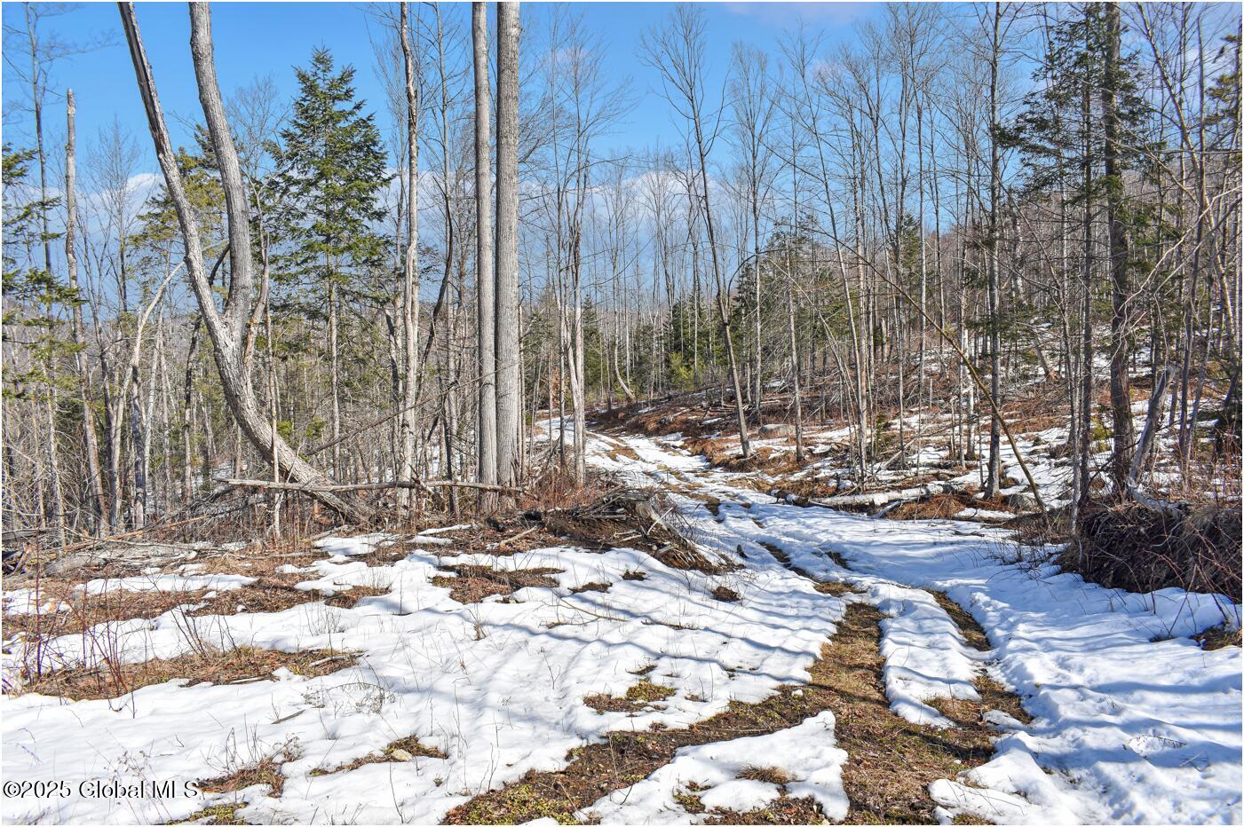 L48.4 Durkin Road North Creek NY 12853