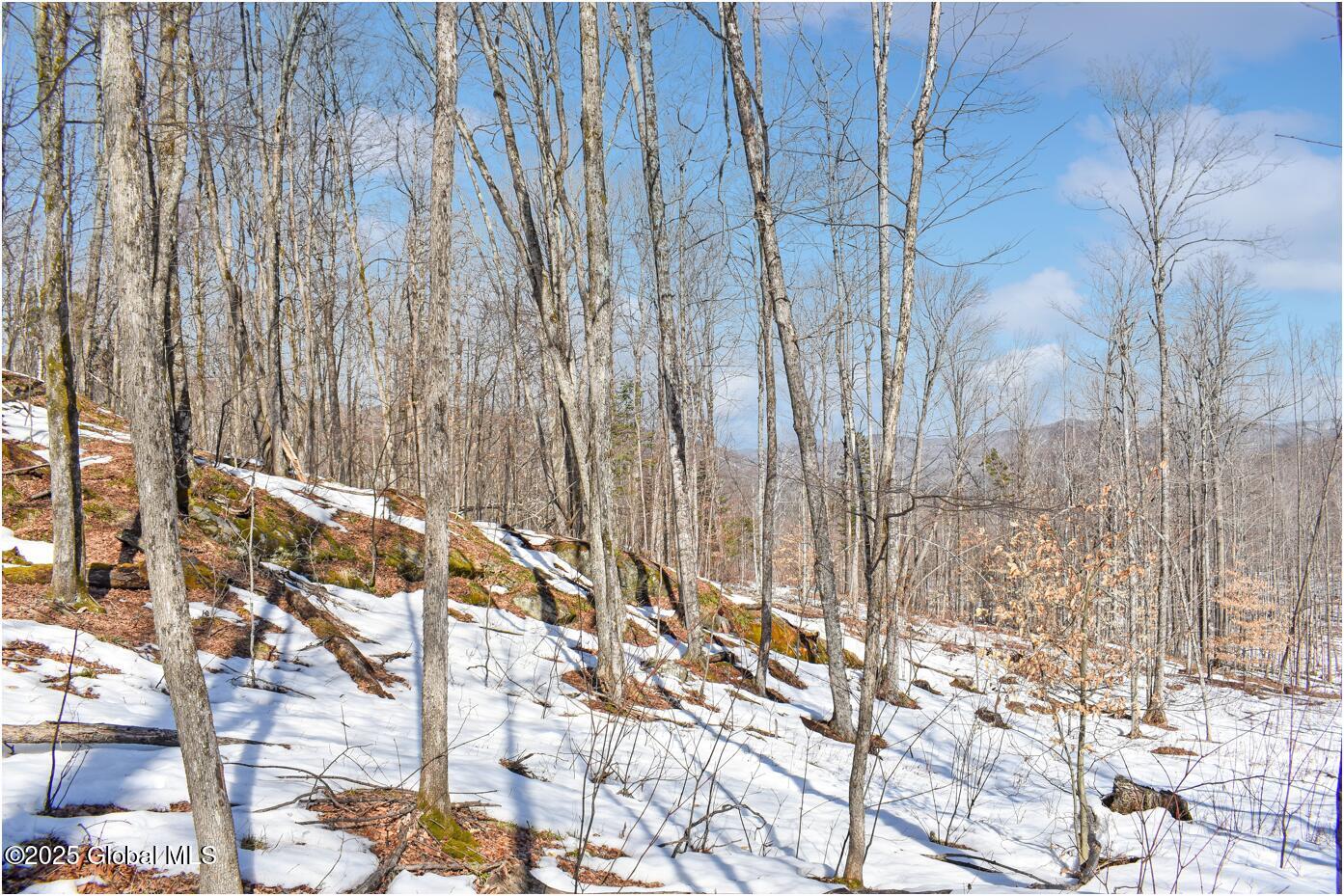L48.4 Durkin Road North Creek NY 12853