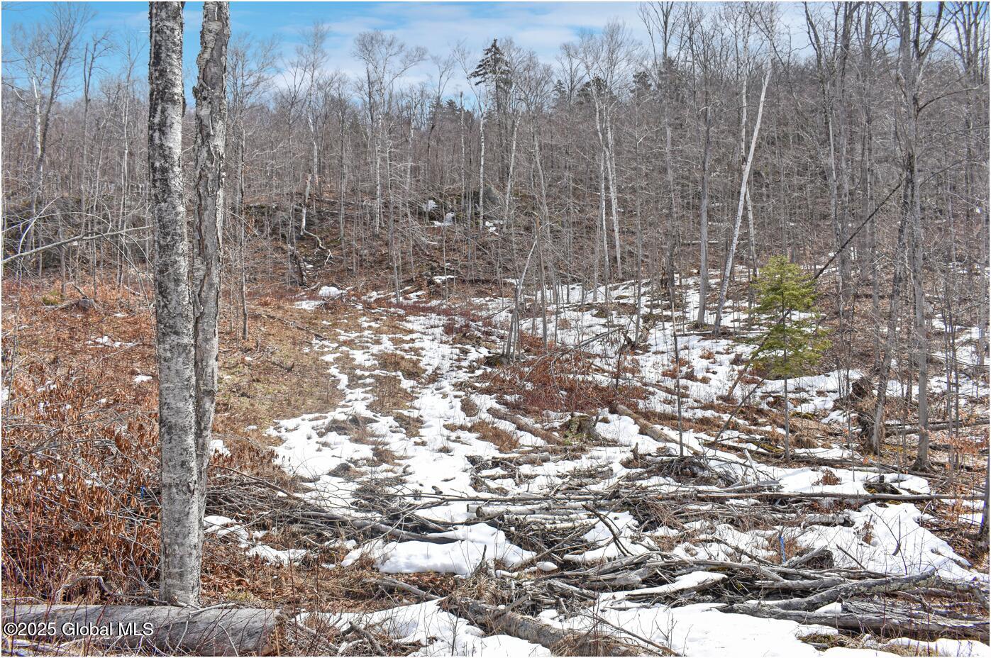 L48.4 Durkin Road North Creek NY 12853