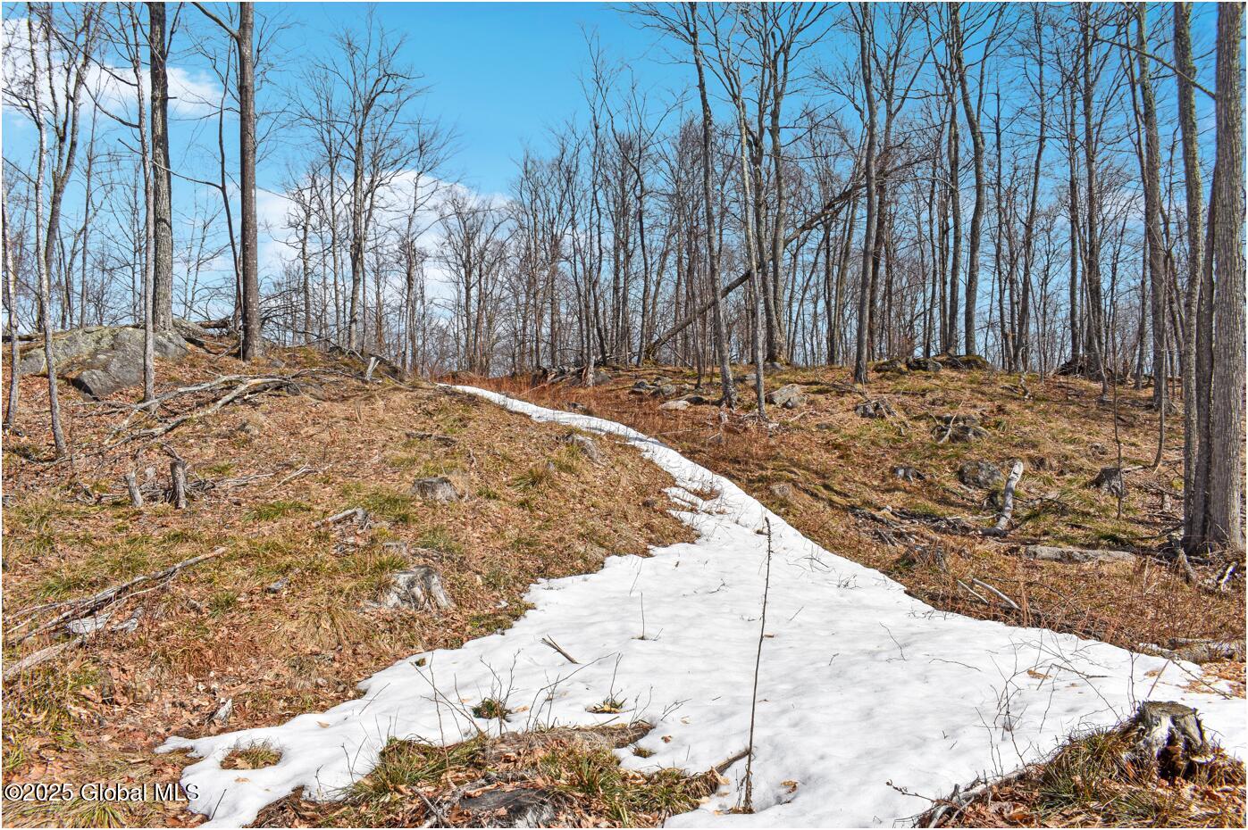 L48.4 Durkin Road North Creek NY 12853