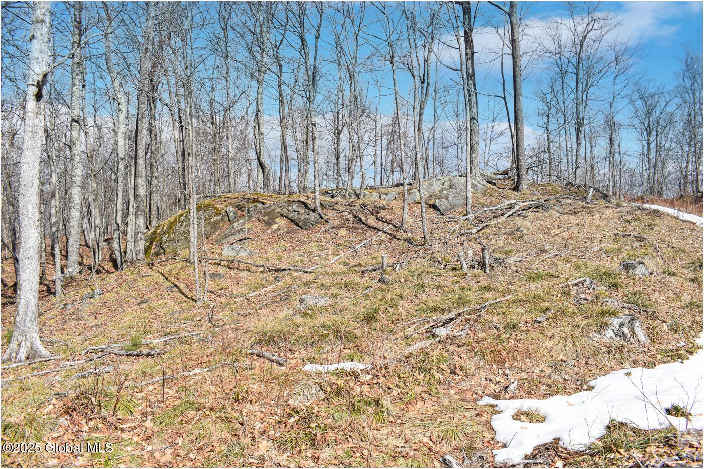 L48.4 Durkin Road North Creek NY 12853