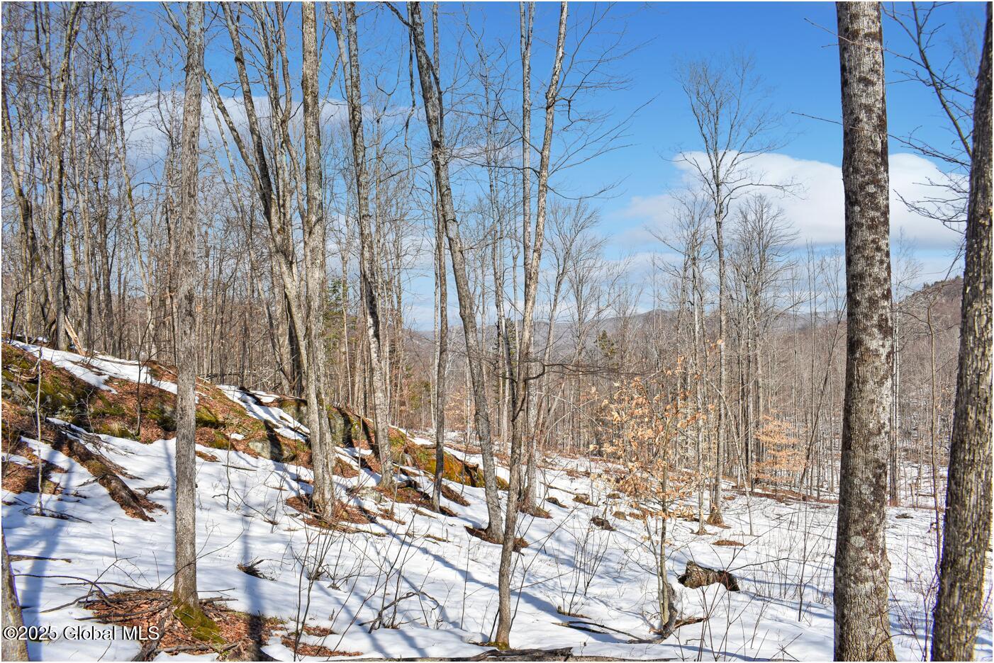 L48.4 Durkin Road North Creek NY 12853