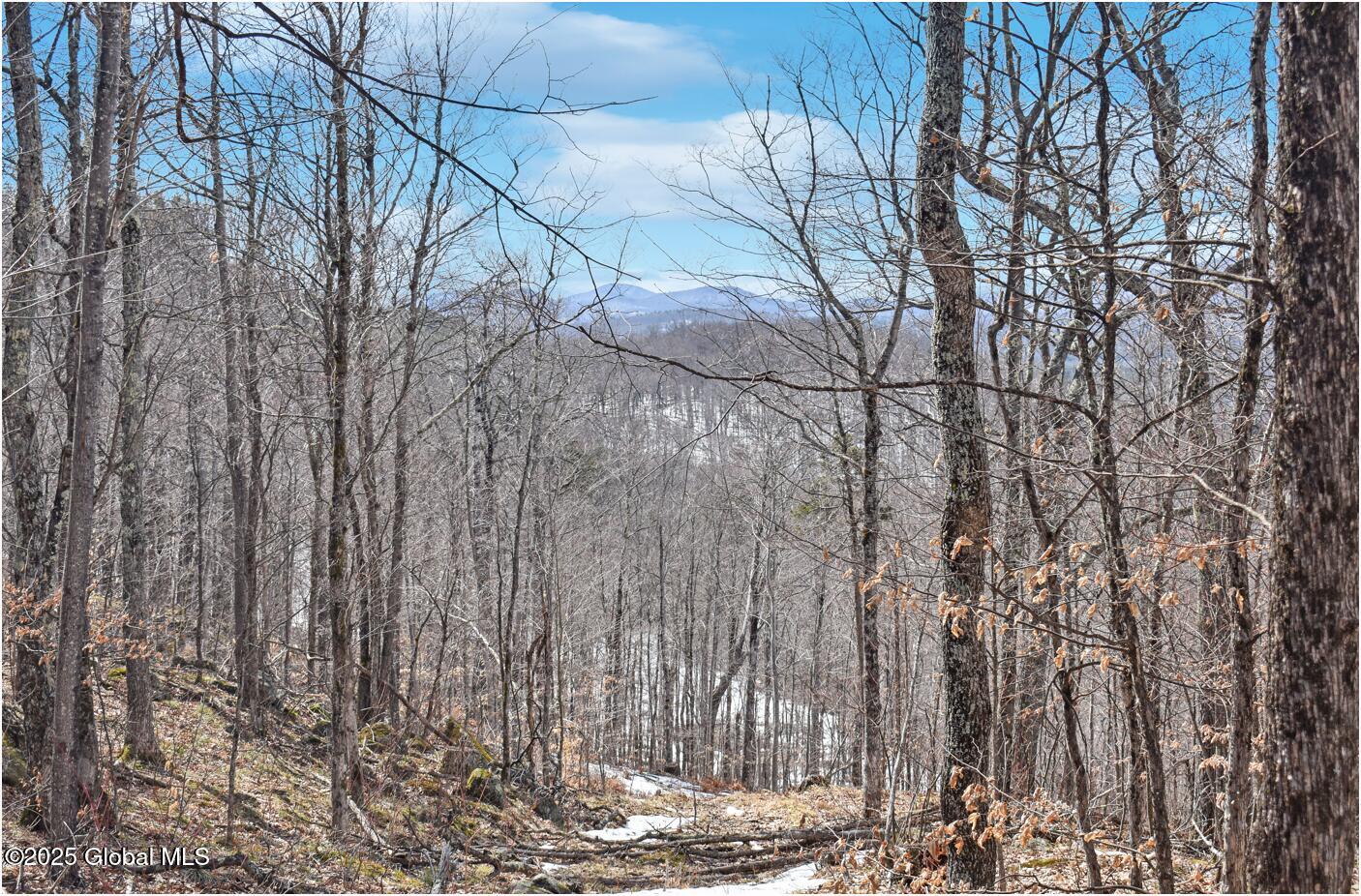 L48.4 Durkin Road North Creek NY 12853