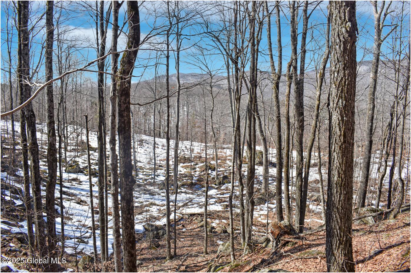 L48.4 Durkin Road North Creek NY 12853