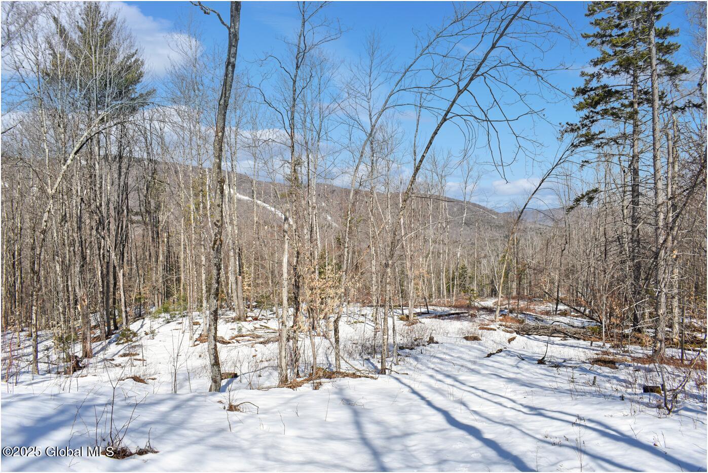 L48.4 Durkin Road North Creek NY 12853