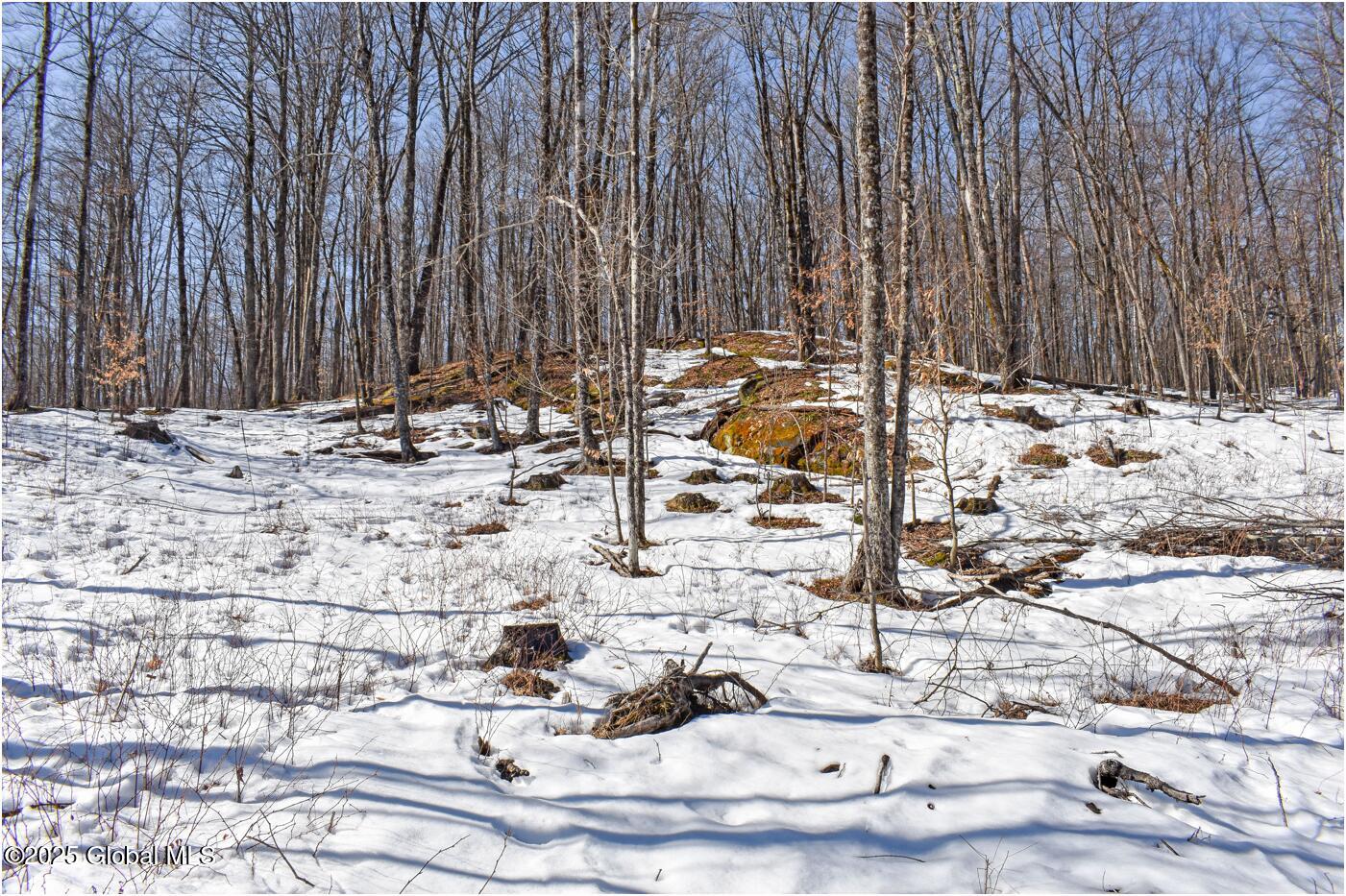 L48.4 Durkin Road North Creek NY 12853
