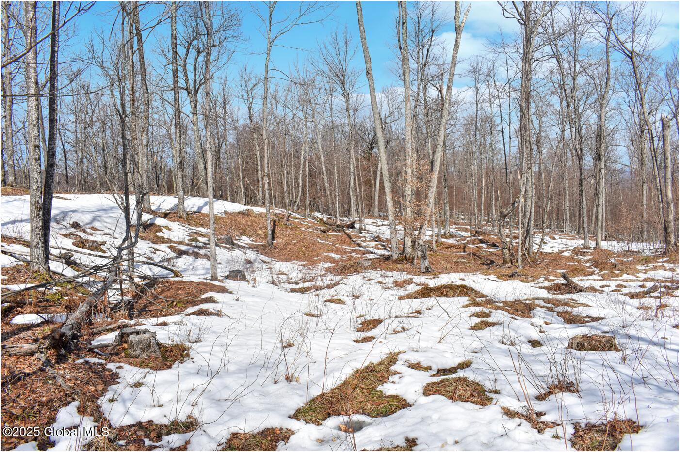 L48.4 Durkin Road North Creek NY 12853