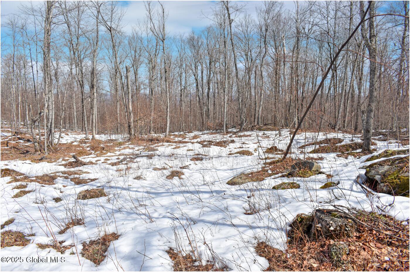 L48.4 Durkin Road North Creek NY 12853