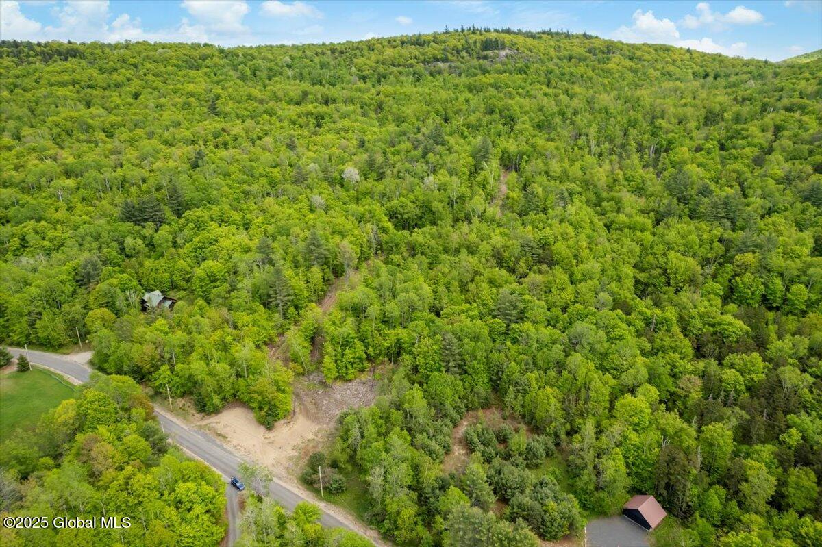 L48.4 Durkin Road North Creek NY 12853