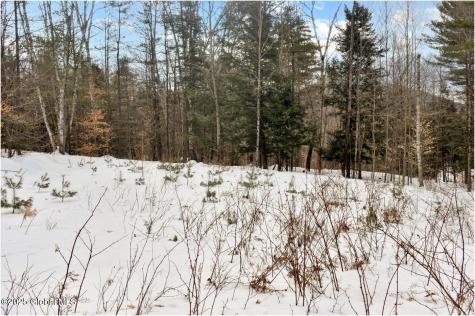 18 Highview Lane Wevertown NY 12886