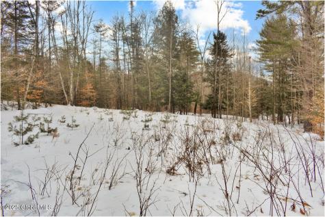 18 Highview Lane Wevertown NY 12886