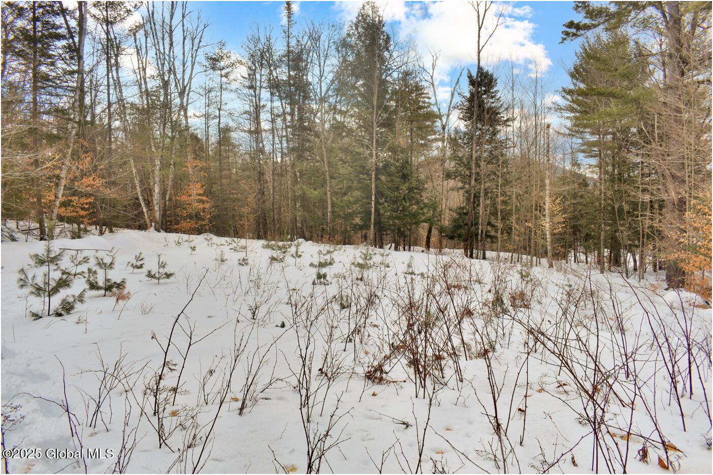 18 Highview Lane Wevertown NY 12886