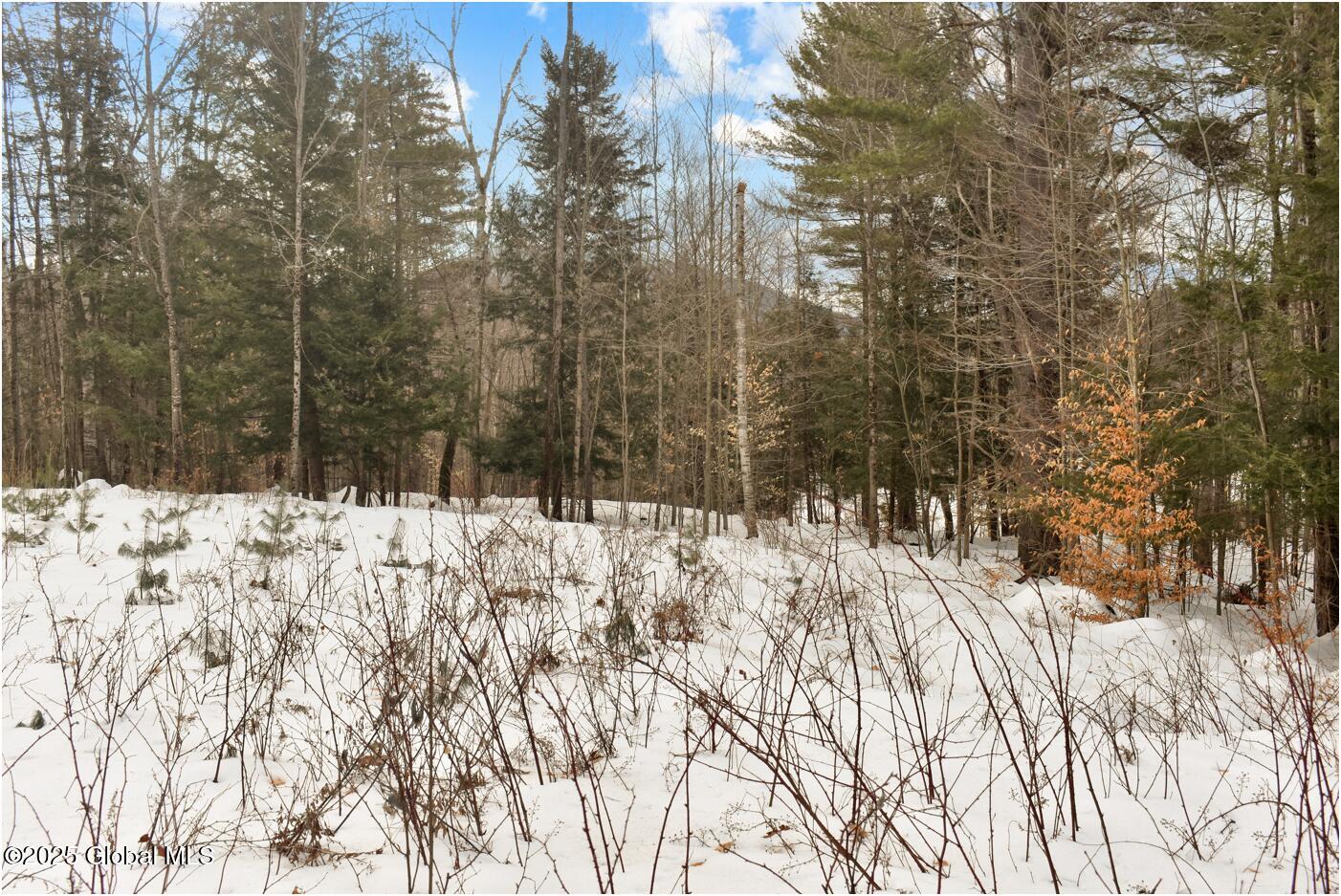 18 Highview Lane Wevertown NY 12886