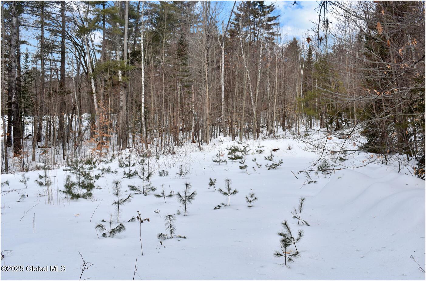 18 Highview Lane Wevertown NY 12886
