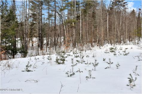 18 Highview Lane Wevertown NY 12886