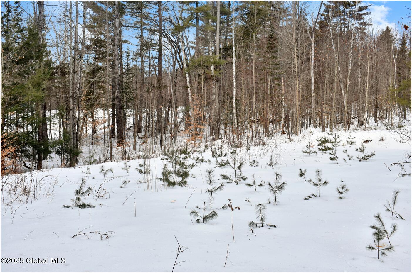 18 Highview Lane Wevertown NY 12886
