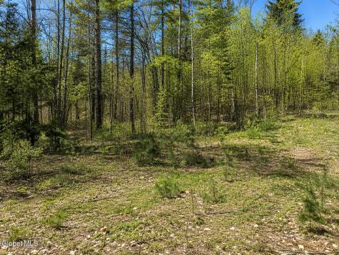 18 Highview Lane Wevertown NY 12886