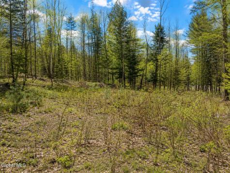 18 Highview Lane Wevertown NY 12886