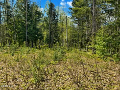 18 Highview Lane Wevertown NY 12886